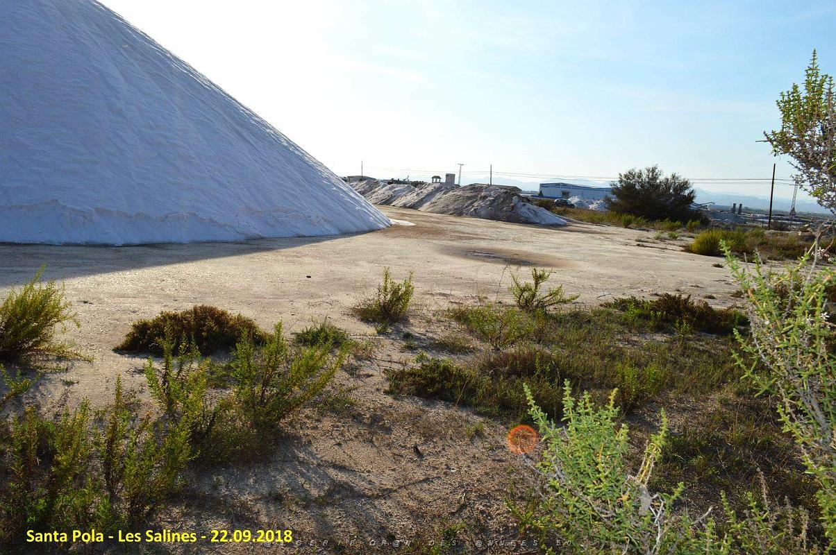 33 SANTA POLA LES SALINES (16).JPG